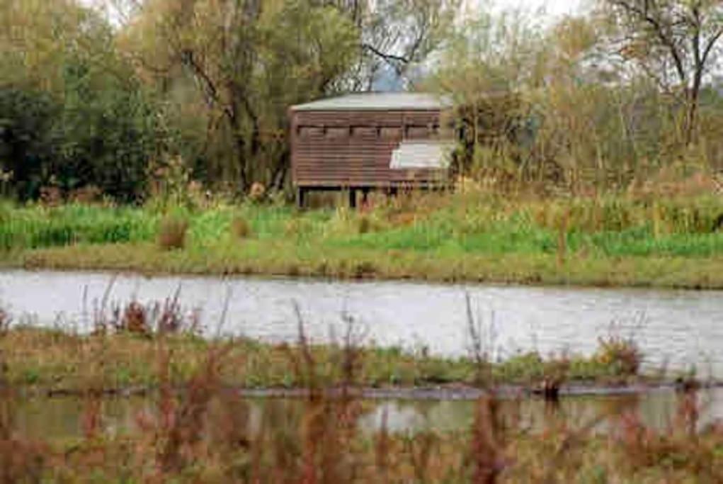 The Loft At The Croft - Stunning Rural Retreat Perfect For Couples & Dogs Vila Leigh  Exterior foto